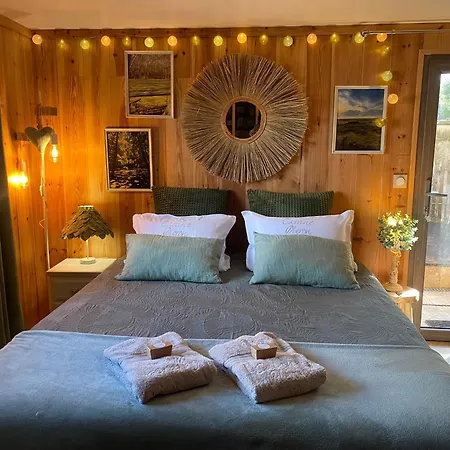 Oleron Piscine 5 别墅